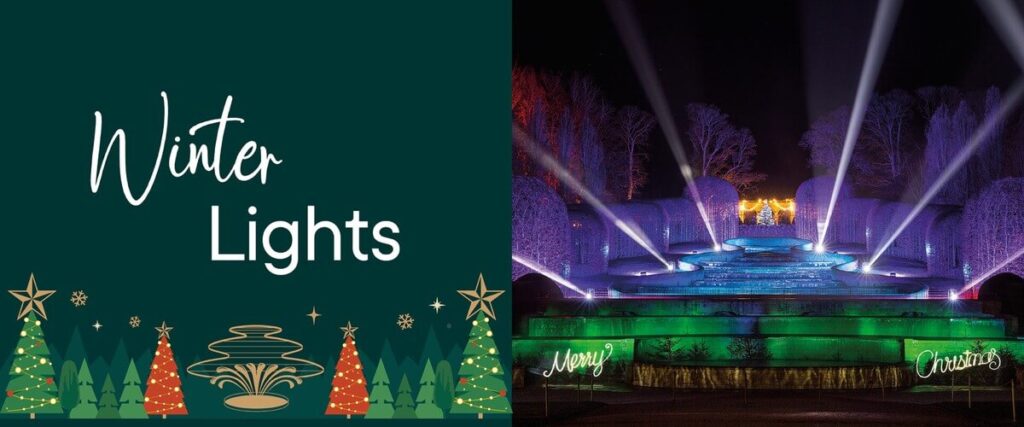Official Winter Lights promotional artwork for The Alnwick Garden